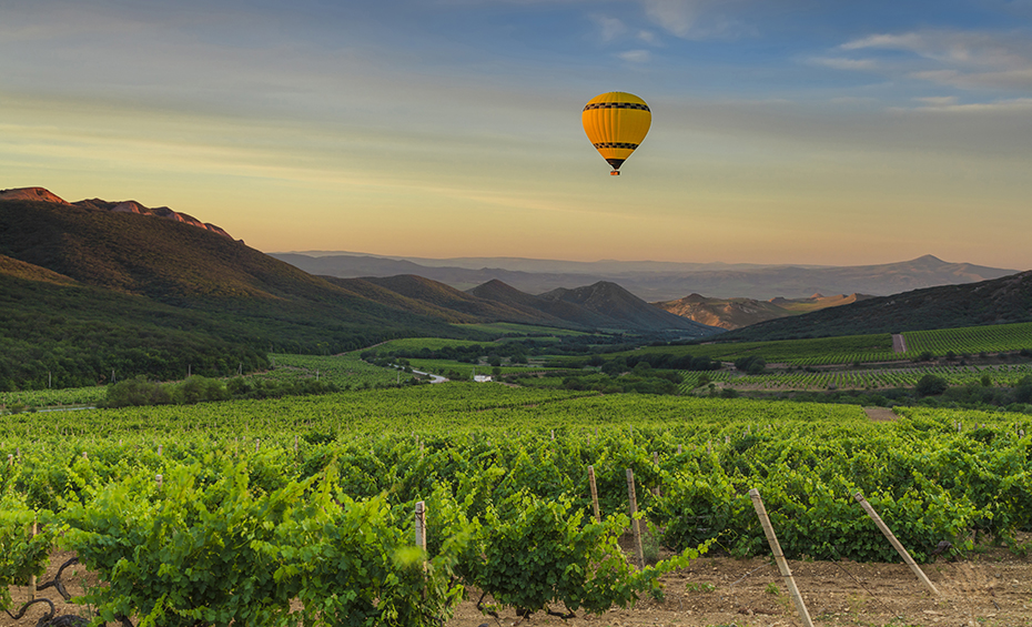 Wine Routes of Turkey