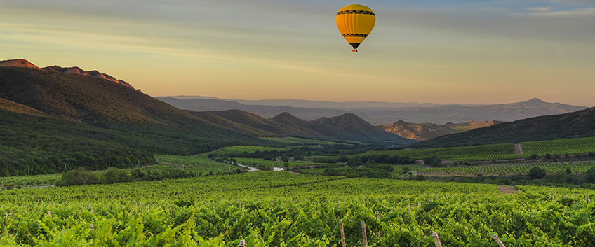 Wine Routes of Turkey