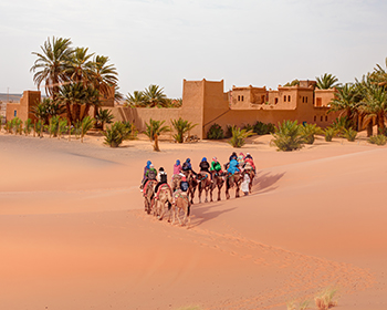 Best of Morocco
Casablanca | Tangier | Chefchaouen | Fès | Sahara Desert | Dades Gorge | Marrakech
(12 Days)

