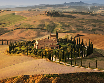 Heart of Tuscany
Florence | Tuscany (8 Days)